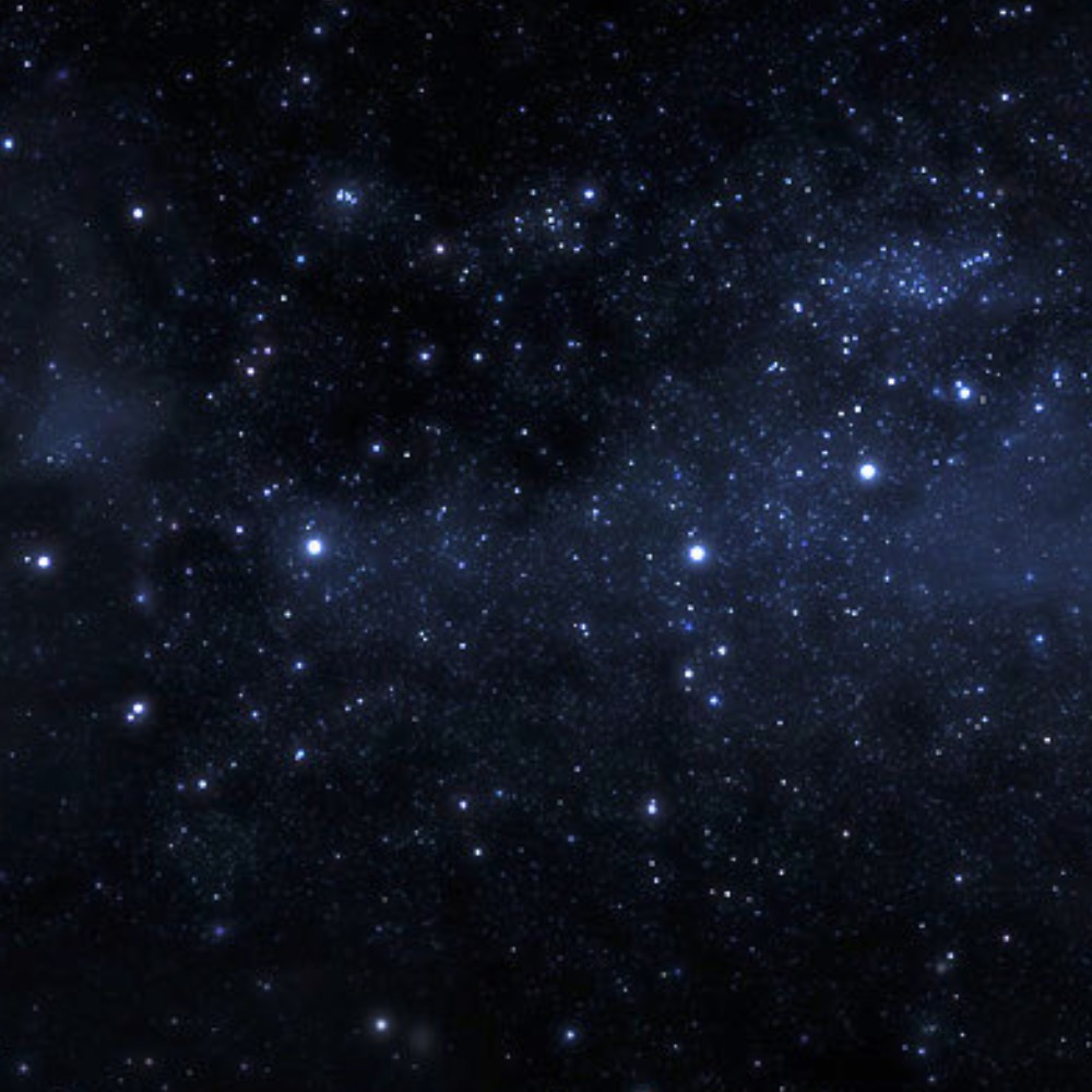 Meet your Posher, Madeleine